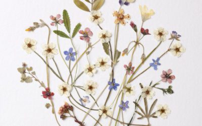 Flower Press
