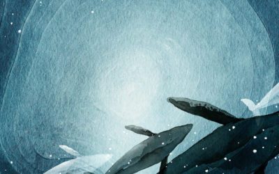 Whale Watching Guide