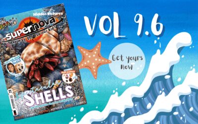 The last issue of Volume 9!
