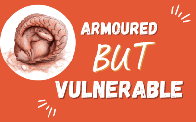 Pangolins: Armoured but vulnerable