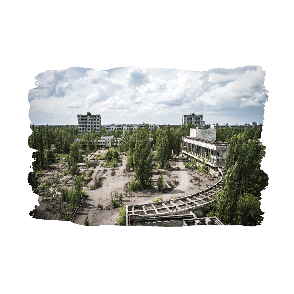 Nature takes over a city