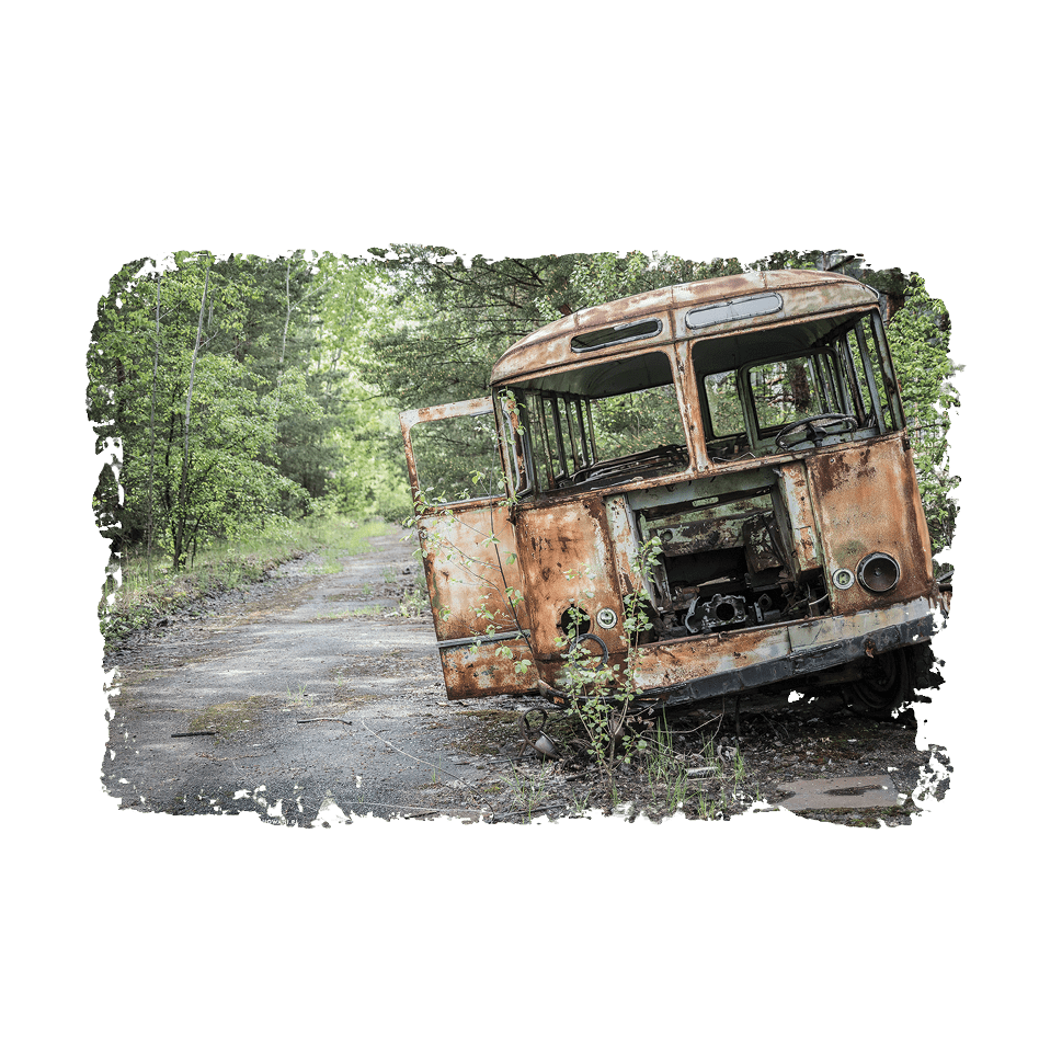 Nature takes over an abandoned bus.