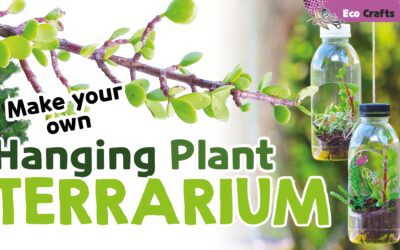 Make your own Hanging Plant Terrarium