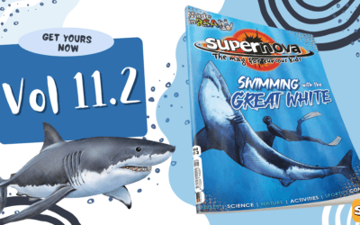 Check out the new Supernova Vol 11.2 – out now!