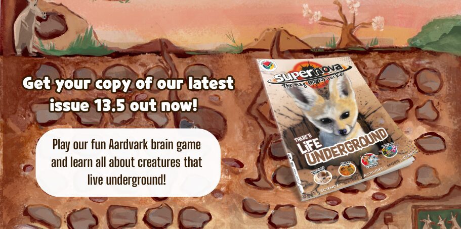 Supernova issue 13.5 press release banner