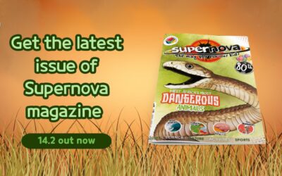 Check out the new Supernova Vol 14.2 – out now